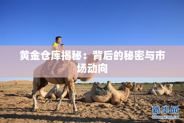 黄金仓库揭秘：背后的秘密与市场动向
