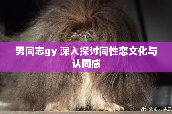 男同志gy 深入探讨同性恋文化与认同感