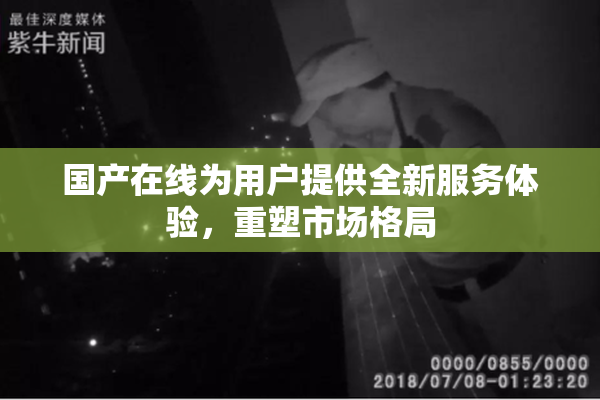 国产在线为用户提供全新服务体验，重塑市场格局