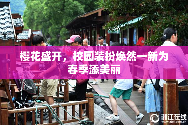 樱花盛开，校园装扮焕然一新为春季添美丽
