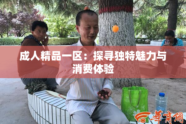 成人精品一区：探寻独特魅力与消费体验