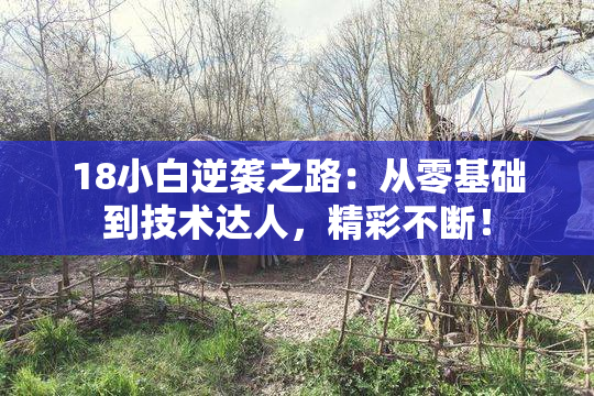 18小白逆袭之路：从零基础到技术达人，精彩不断！