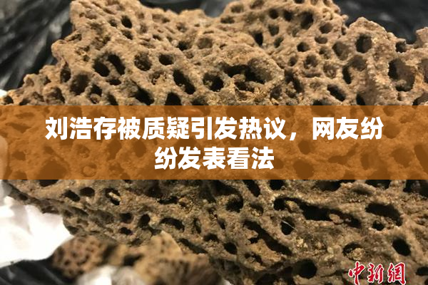 刘浩存被质疑引发热议，网友纷纷发表看法