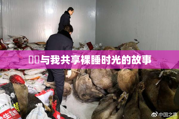 妺妺与我共享裸睡时光的故事