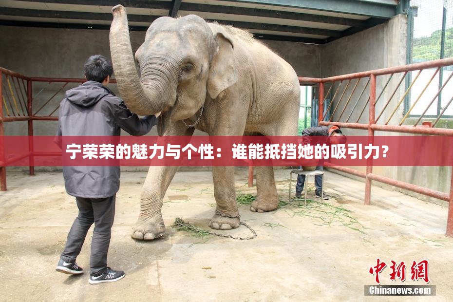 宁荣荣的魅力与个性：谁能抵挡她的吸引力？
