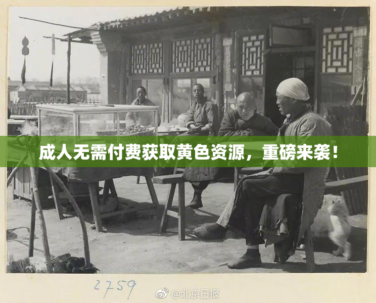 成人无需付费获取黄色资源，重磅来袭！