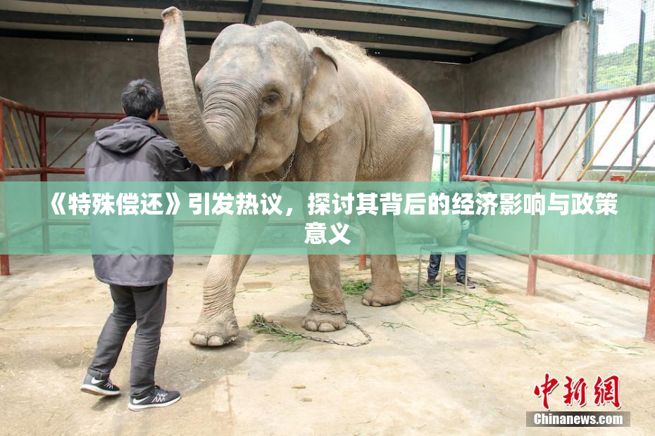 《特殊偿还》引发热议，探讨其背后的经济影响与政策意义