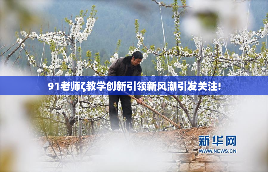 91老师ζ教学创新引领新风潮引发关注!