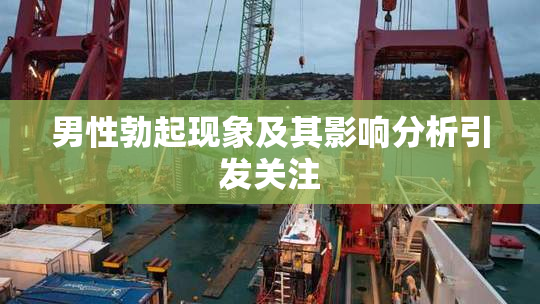 男性勃起现象及其影响分析引发关注