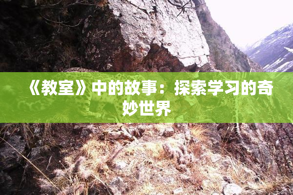 《教室》中的故事：探索学习的奇妙世界