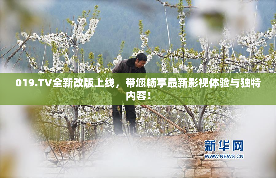019.TV全新改版上线，带您畅享最新影视体验与独特内容！