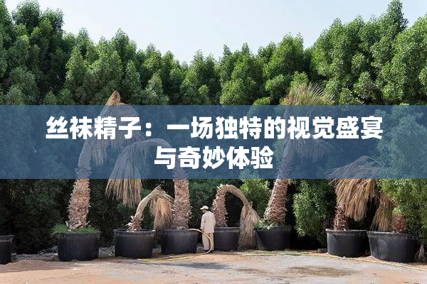丝袜精子：一场独特的视觉盛宴与奇妙体验