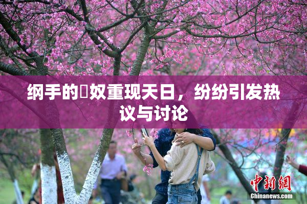 纲手的婬奴重现天日，纷纷引发热议与讨论