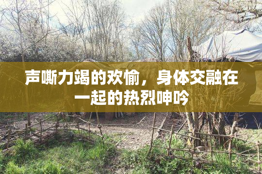 声嘶力竭的欢愉，身体交融在一起的热烈呻吟