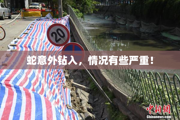 蛇意外钻入，情况有些严重！