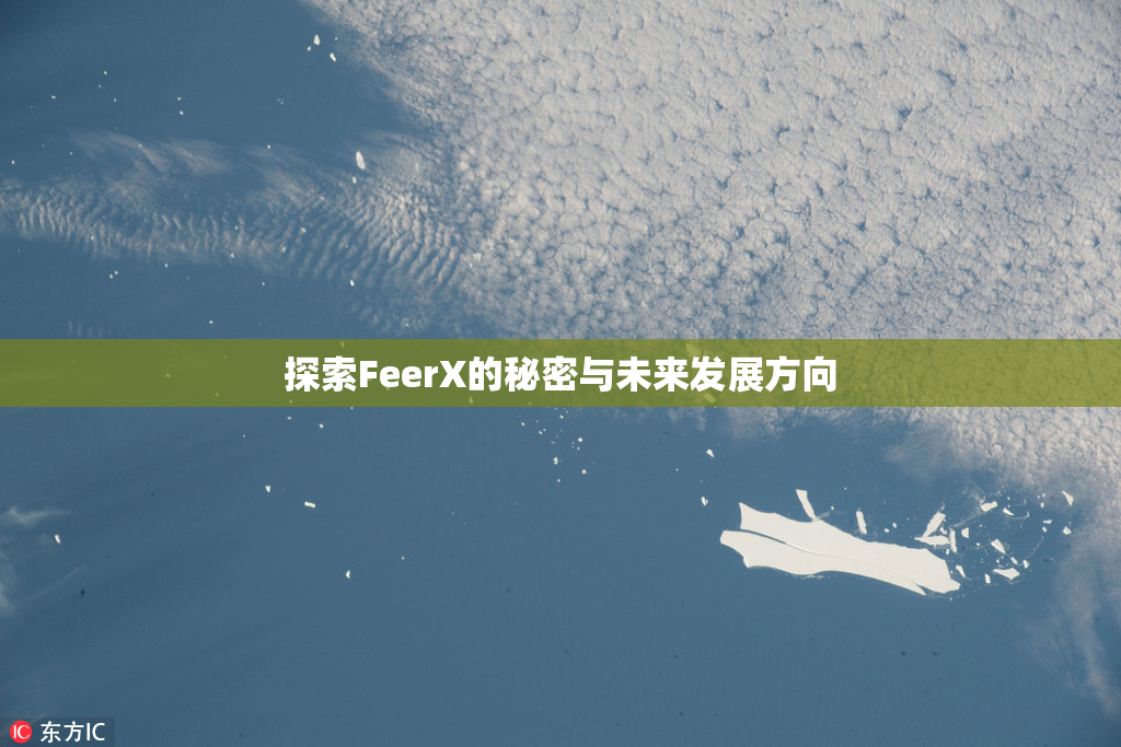 探索FeerX的秘密与未来发展方向