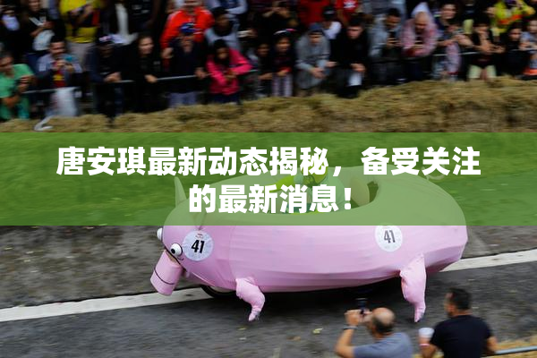 唐安琪最新动态揭秘，备受关注的最新消息！
