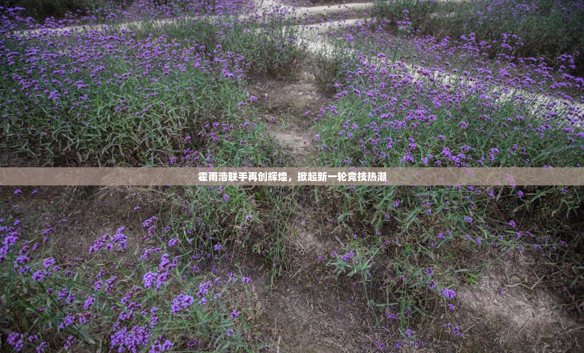 霍雨浩联手再创辉煌，掀起新一轮竞技热潮
