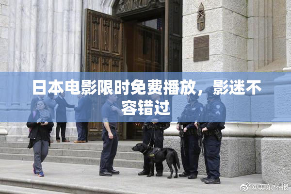 日本电影限时免费播放，影迷不容错过