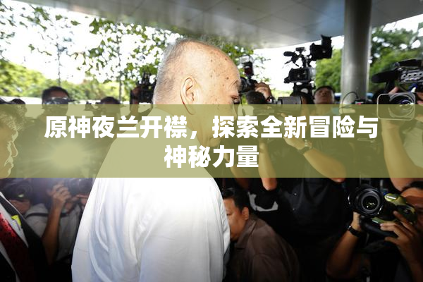 原神夜兰开襟，探索全新冒险与神秘力量