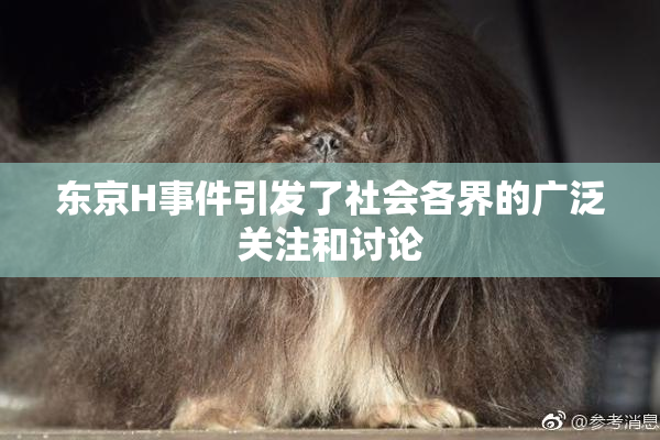 东京H事件引发了社会各界的广泛关注和讨论