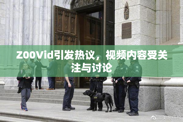 Z00Vid引发热议，视频内容受关注与讨论