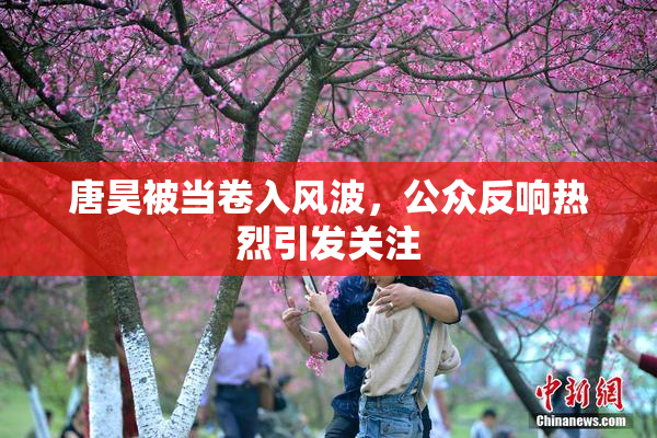 唐昊被当卷入风波，公众反响热烈引发关注