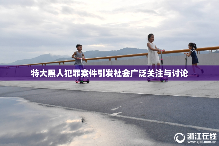 特大黑人犯罪案件引发社会广泛关注与讨论