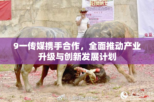 9一传媒携手合作，全面推动产业升级与创新发展计划