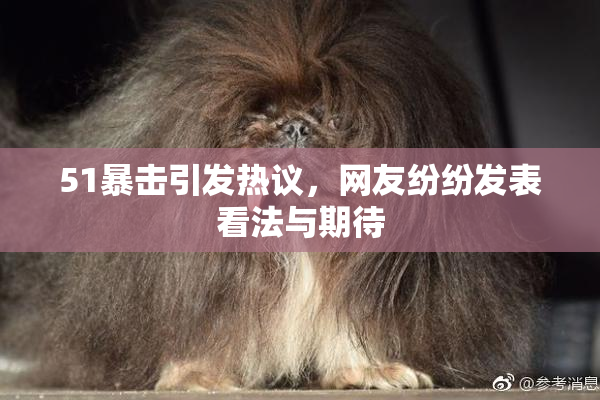 51暴击引发热议，网友纷纷发表看法与期待