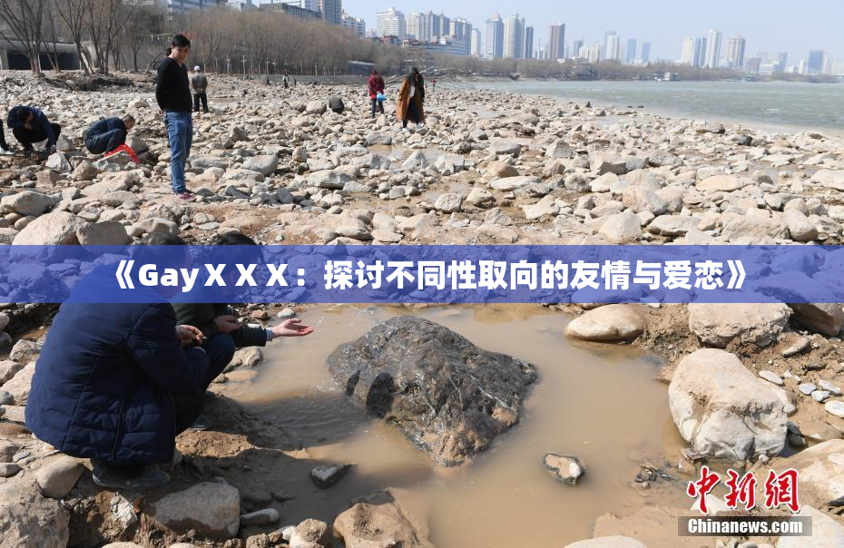 《GayⅩⅩⅩ：探讨不同性取向的友情与爱恋》