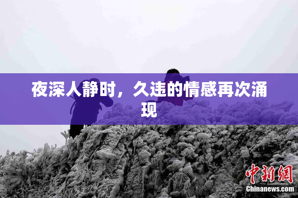 夜深人静时，久违的情感再次涌现