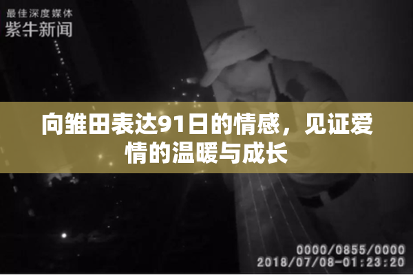 向雏田表达91日的情感，见证爱情的温暖与成长