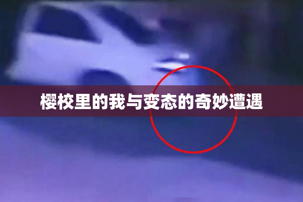 樱校里的我与变态的奇妙遭遇