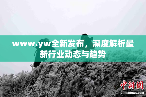 www.yw全新发布，深度解析最新行业动态与趋势