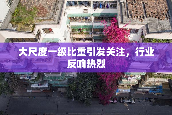 大尺度一级比重引发关注，行业反响热烈