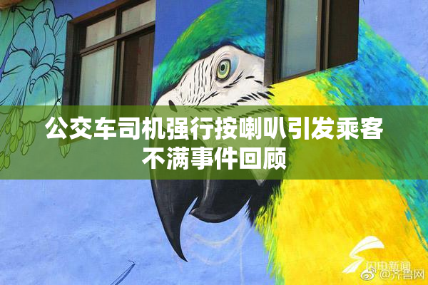 公交车司机强行按喇叭引发乘客不满事件回顾