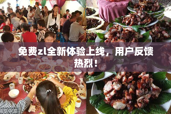 免费zl全新体验上线，用户反馈热烈！