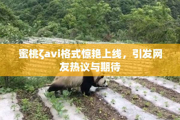 蜜桃ζavi格式惊艳上线，引发网友热议与期待