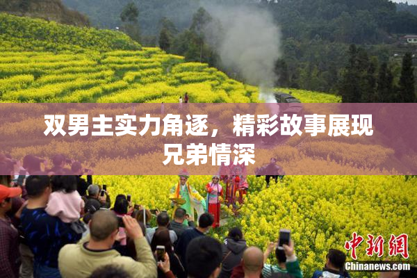 双男主实力角逐，精彩故事展现兄弟情深