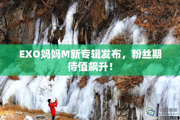 EXO妈妈M新专辑发布，粉丝期待值飙升！