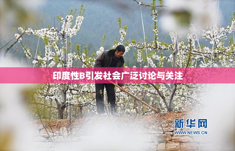 印度性B引发社会广泛讨论与关注