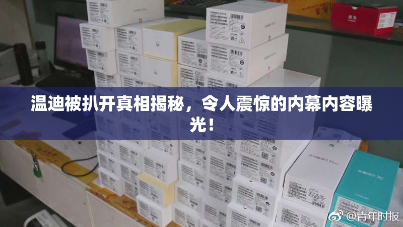 温迪被扒开真相揭秘，令人震惊的内幕内容曝光！