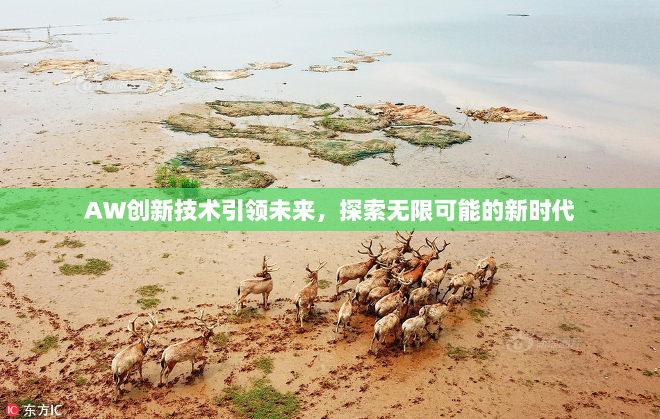 AW创新技术引领未来，探索无限可能的新时代