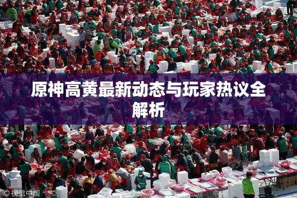 原神高黄最新动态与玩家热议全解析