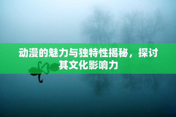 动漫的魅力与独特性揭秘，探讨其文化影响力