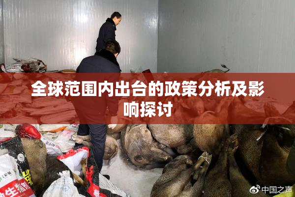全球范围内出台的政策分析及影响探讨