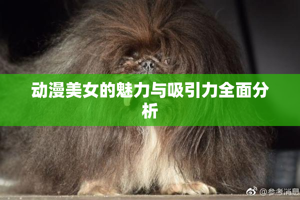 动漫美女的魅力与吸引力全面分析