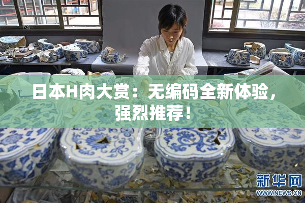 日本H肉大赏：无编码全新体验，强烈推荐！