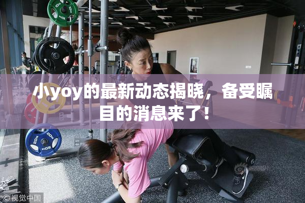 小yoy的最新动态揭晓，备受瞩目的消息来了！